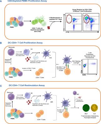 Preclinical immunogenicity risk assessment of biotherapeutics using CD4 T cell assays